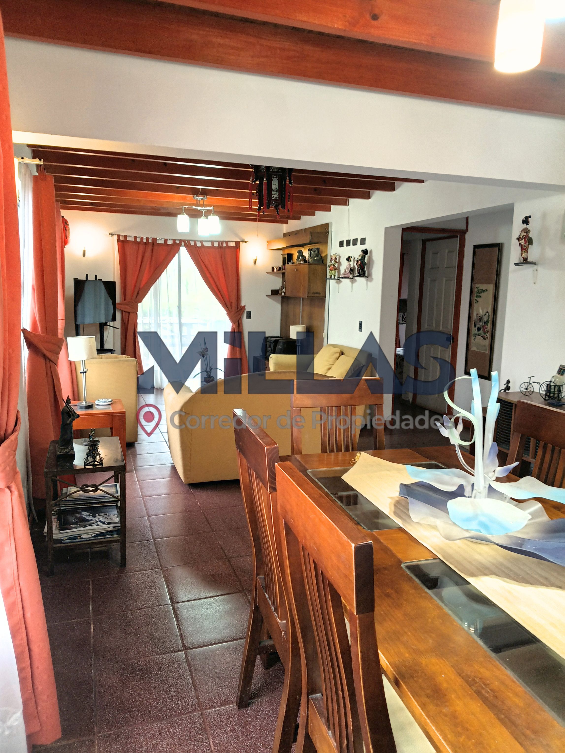 Miniatura 25